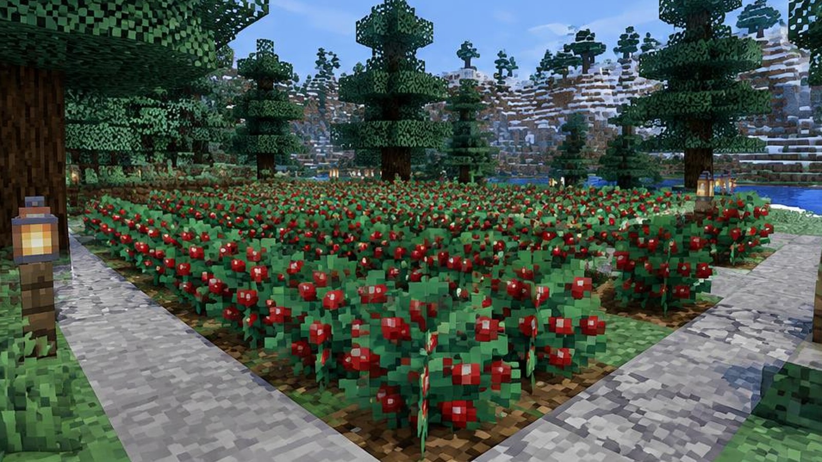 Sweet Berry Garden: Grow Food Without Walking in Bushes